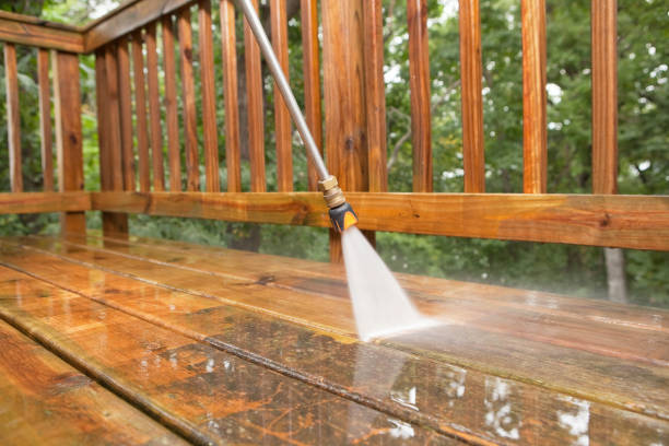 Best Roof Pressure Washing  in Forest Oaks, NC